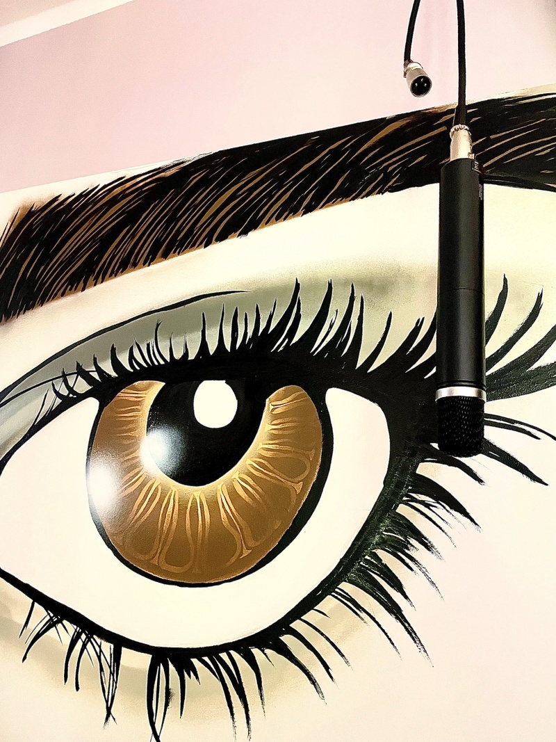 Gemälde: Auge mit Mikrofon