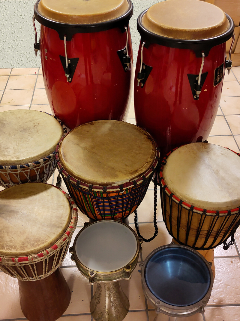 Djemben, Bongos und Congas