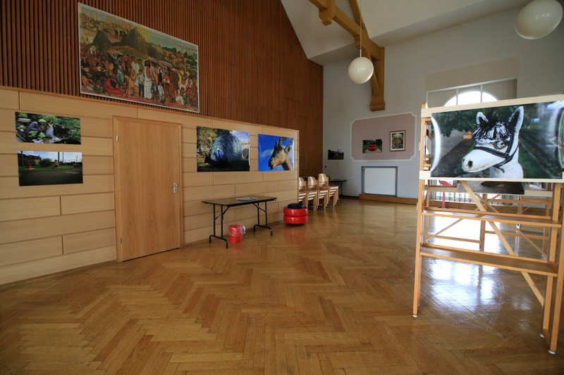 Rechts ist die Fotografie des Kopfes einer Lama Skulptur zu sehen, rechts im Bild der Künstler fotografiert bei der Arbeit und weiter im Hintergrund die Fotografie eines Radschlagenden Pfaus und der Kopf einer Giraffenskulptur.