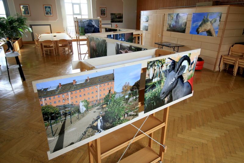 Blick in die Ausstellung mit ihren über 20 großformatigen Bildern, die die Besucher zum Betrachten einladen.