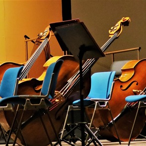 Logo Live Music Now e.V.